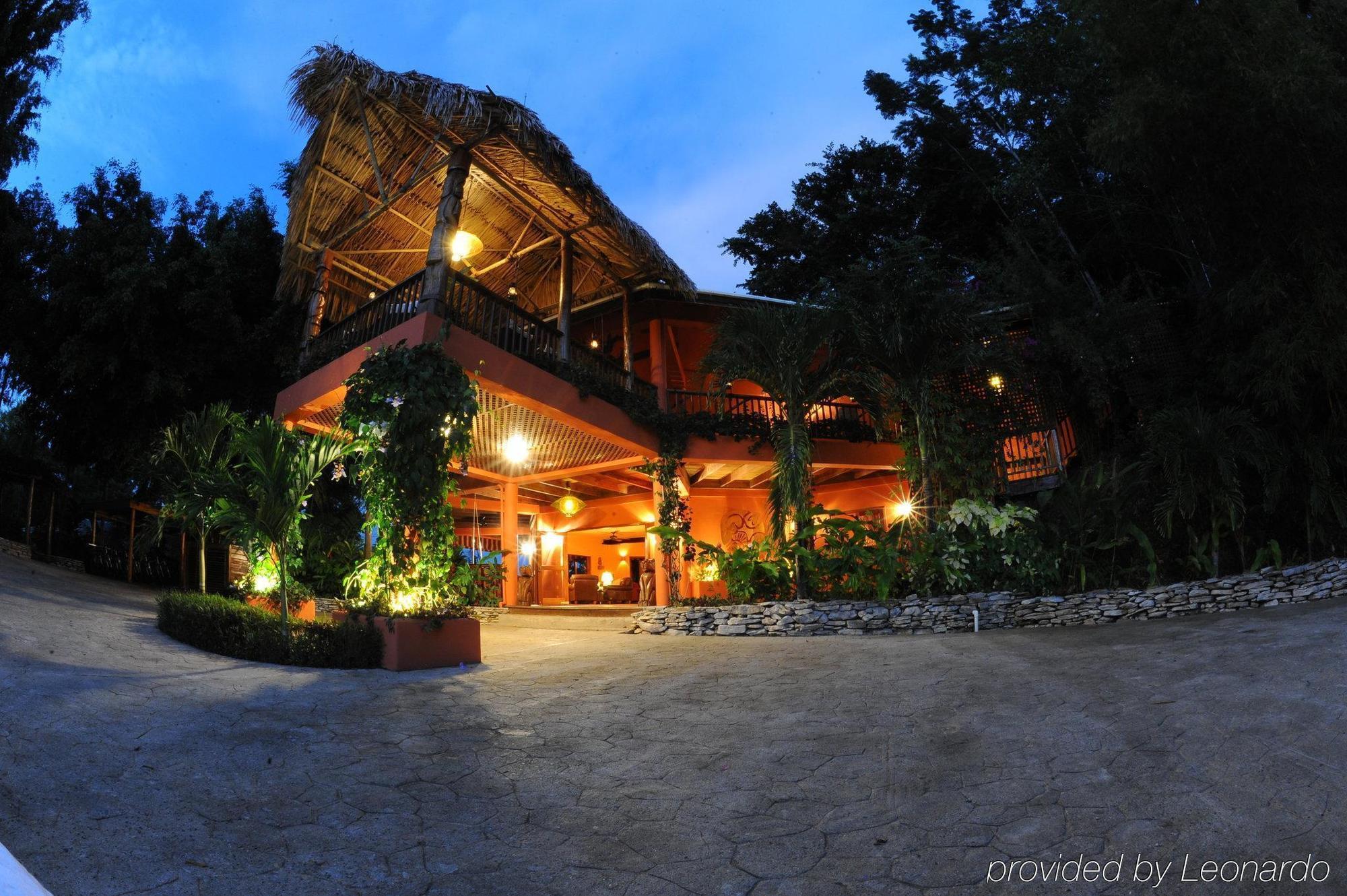 Machaca Hill Rainforest Canopy Lodge 푼타 고르다 외부 사진