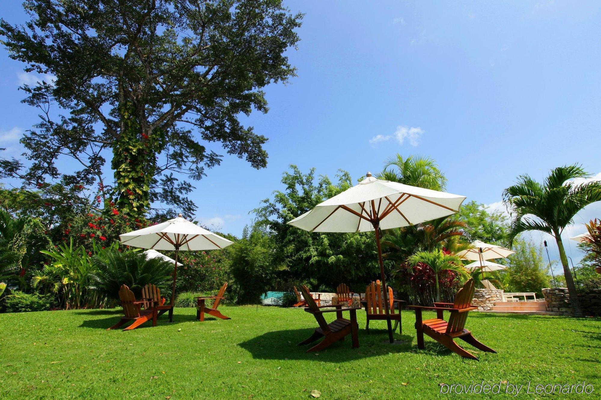 Machaca Hill Rainforest Canopy Lodge 푼타 고르다 외부 사진