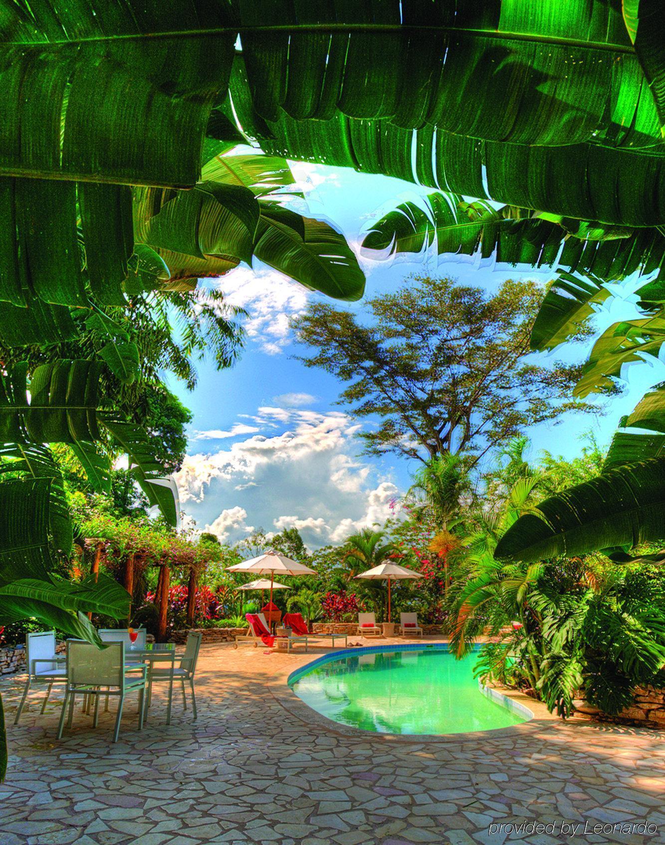 Machaca Hill Rainforest Canopy Lodge 푼타 고르다 외부 사진