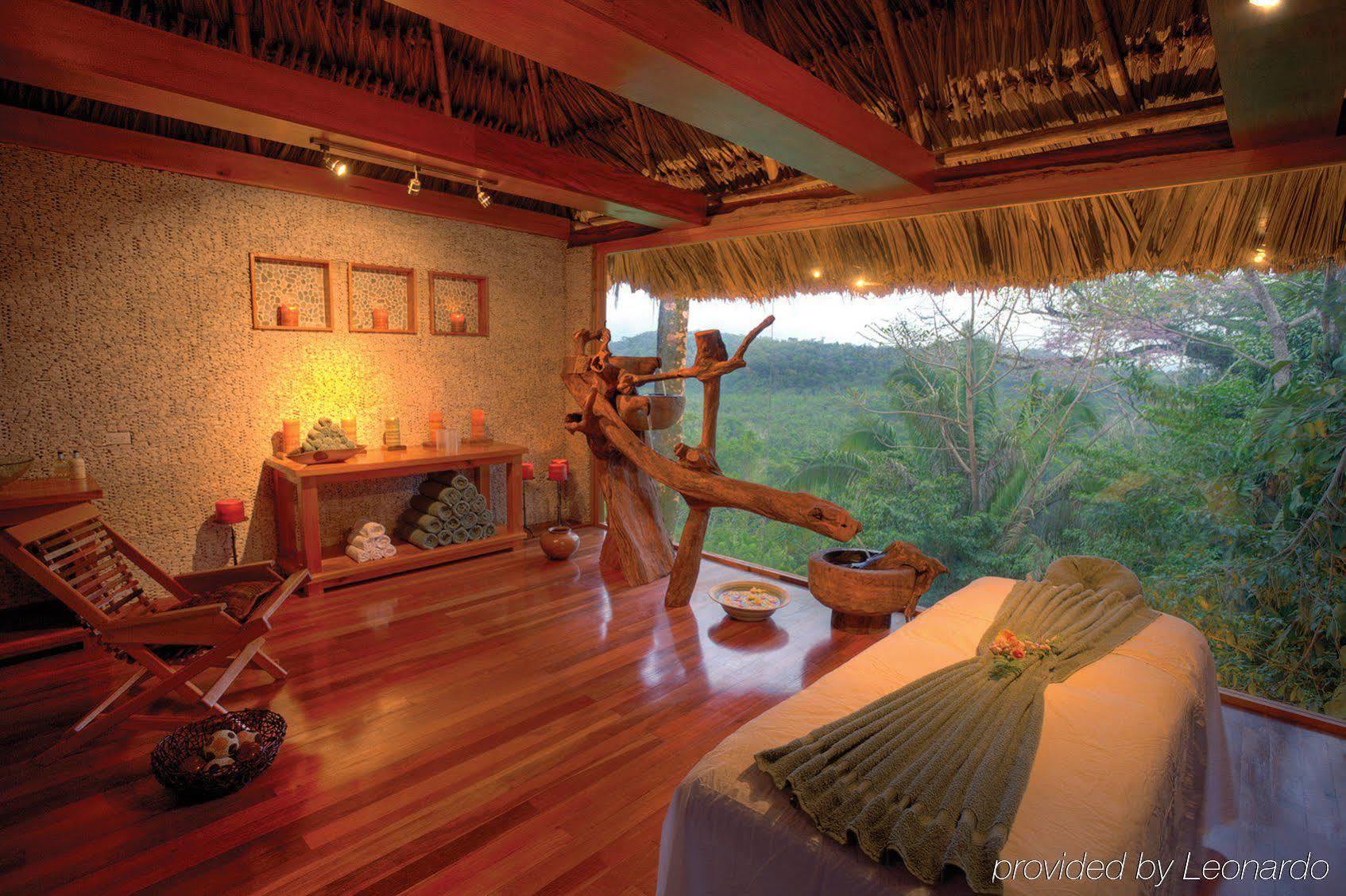 Machaca Hill Rainforest Canopy Lodge 푼타 고르다 외부 사진