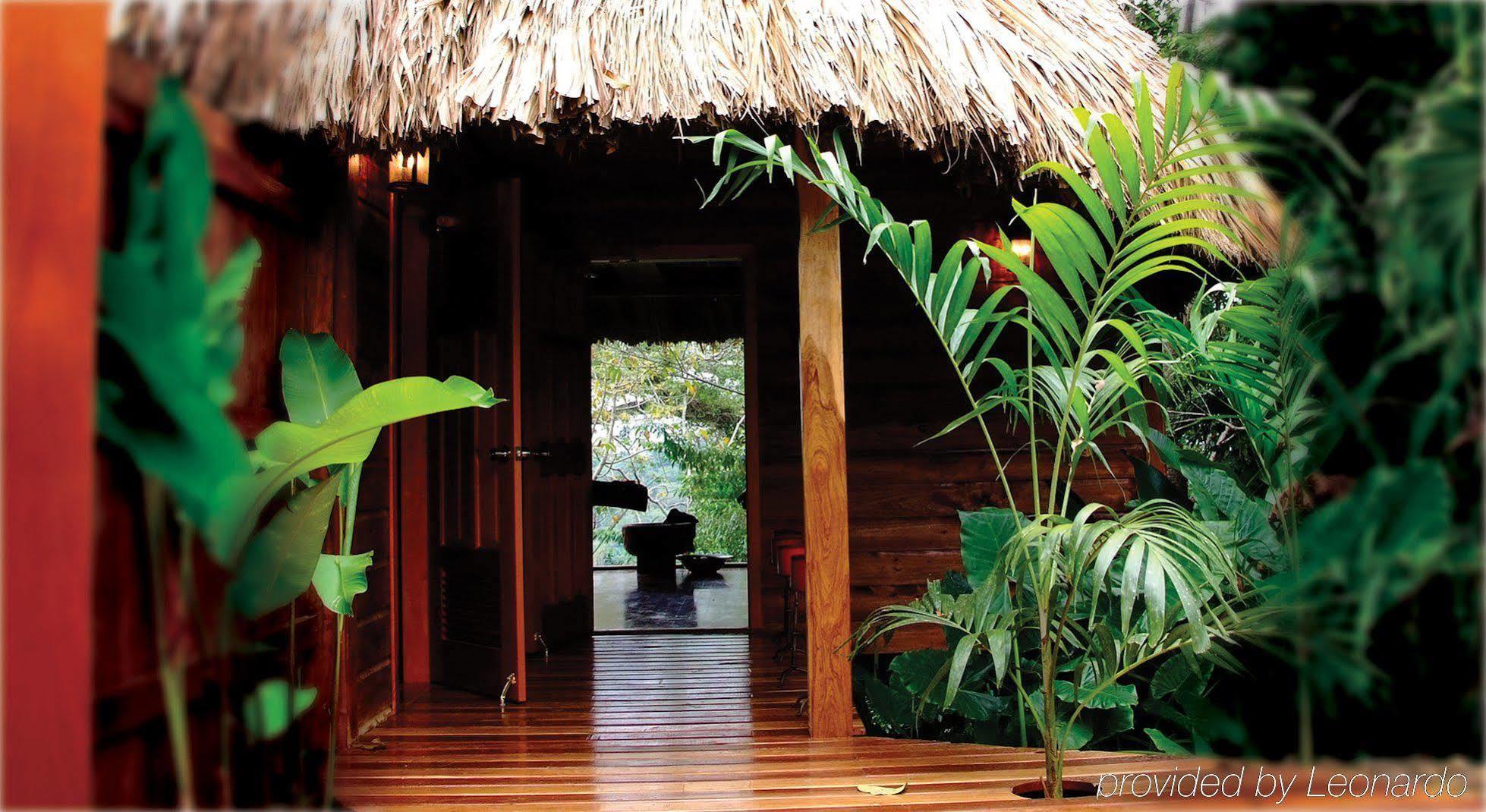 Machaca Hill Rainforest Canopy Lodge 푼타 고르다 외부 사진